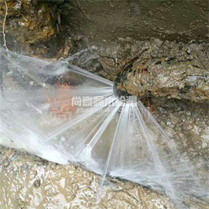栖霞消防管道漏水检测